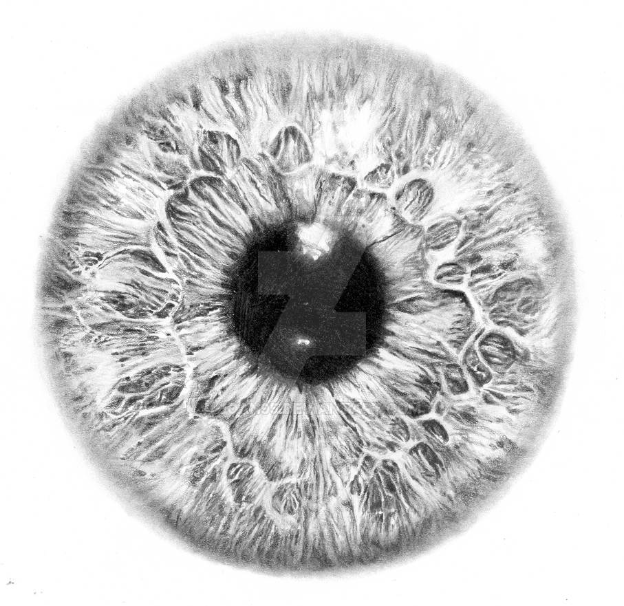 Iris Eye By Joan95 On DeviantArt