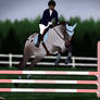 SIF Week 4 - 100cm Show Jumping