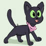 Black Kitty