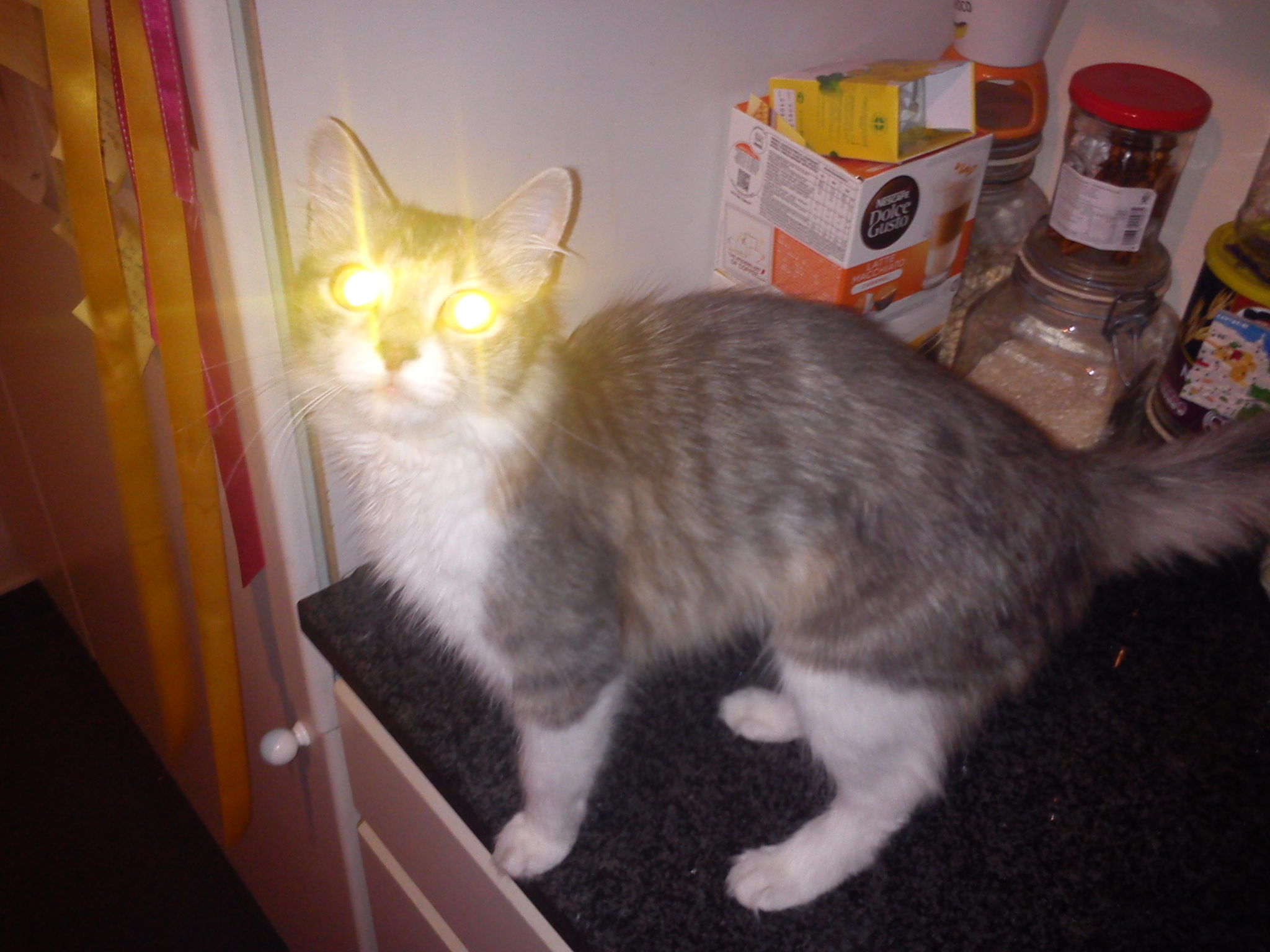 Glowing Eyes