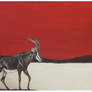 Sable Antelope