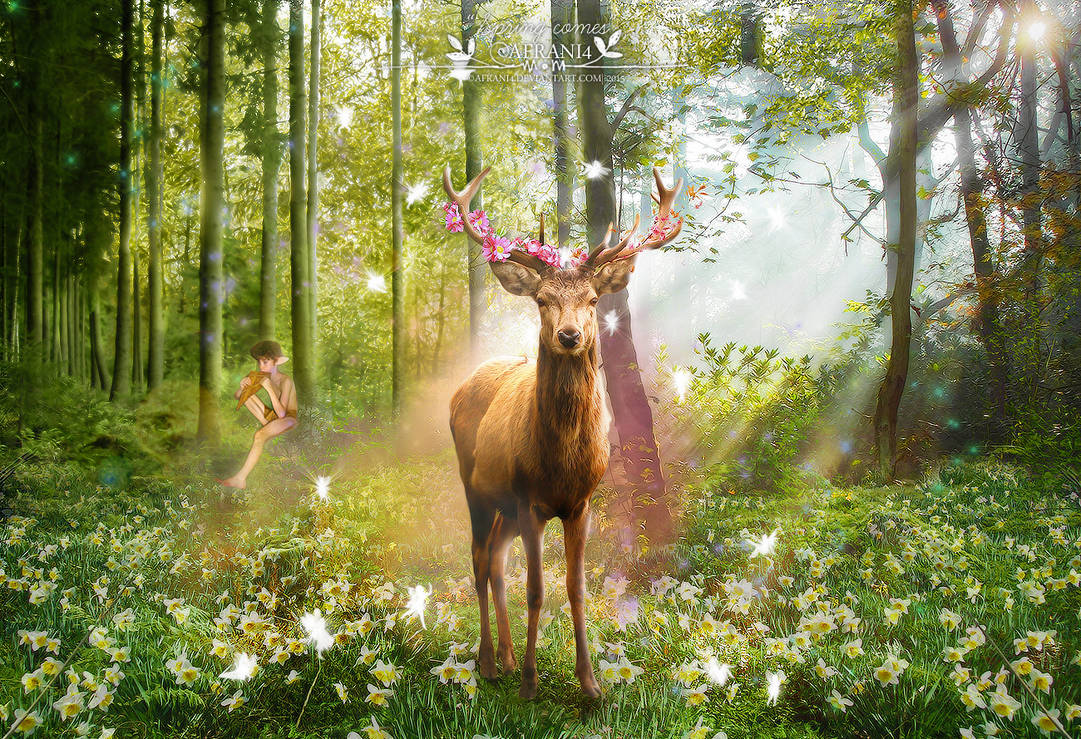 Spring comes by Afrani4