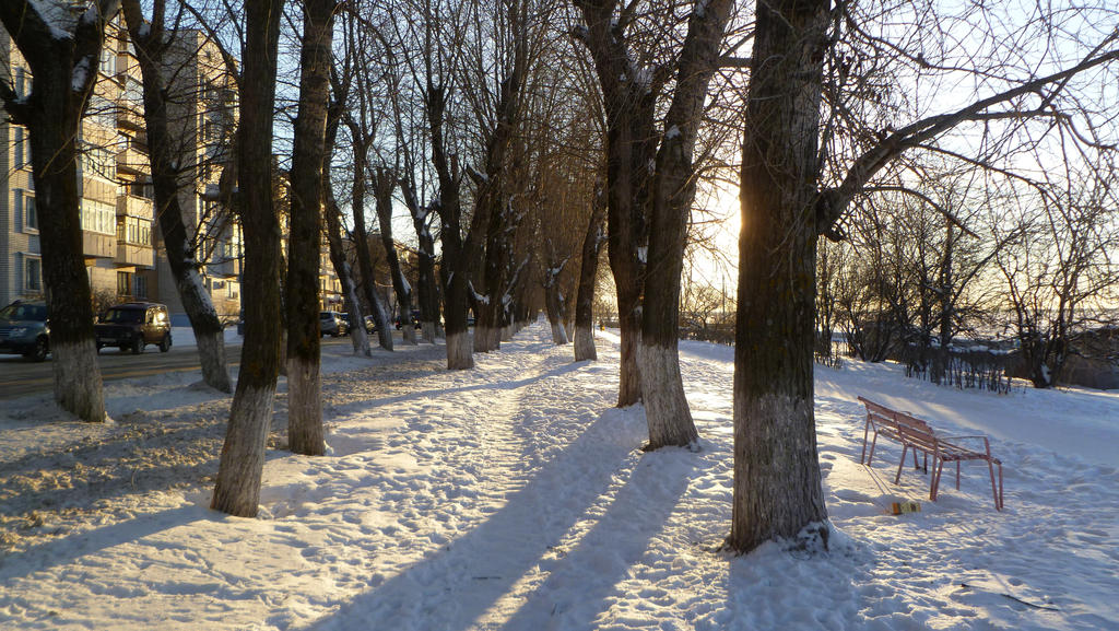 frosty day