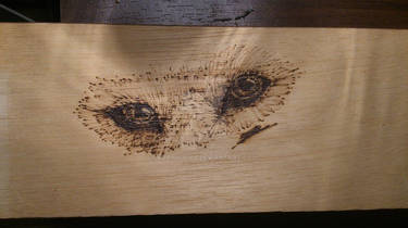 Wolf's eyes - Wood Burning