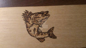 Pike perch II - Wood Burning