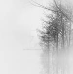 a song of false hope by NuSunt