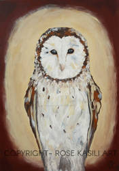 BARN OWL