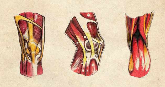 Deviantart Knees knee-2 by pilot4ik on DeviantArt