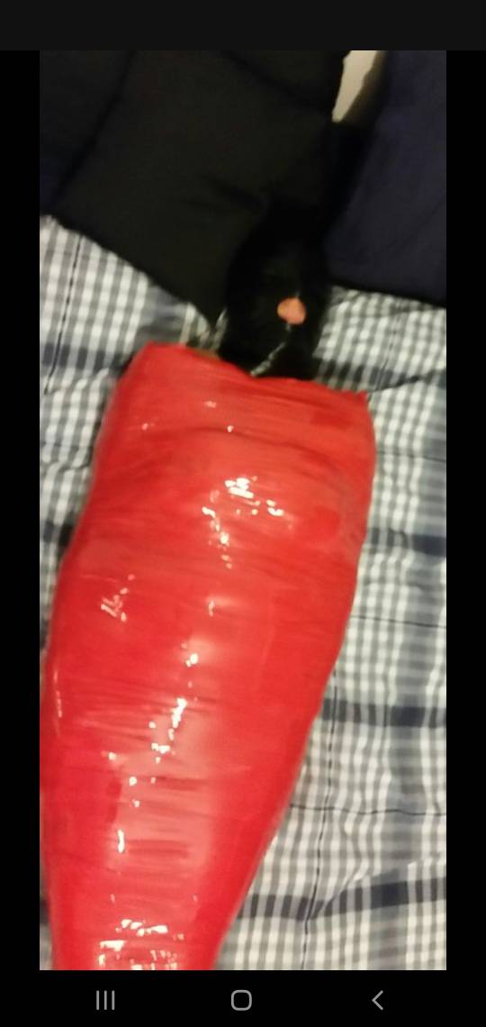 mummification by Lionheart3488 on DeviantArt