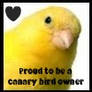 Proud to be a canarybird owner