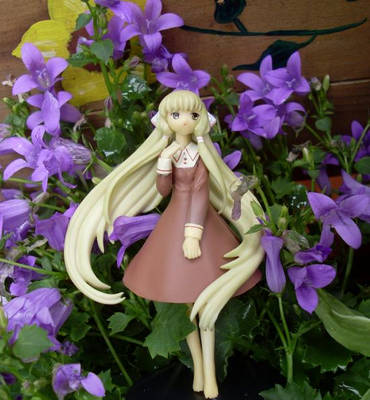 Chii and the purple blossoms 2
