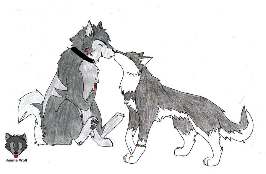 Love is Love by AnimeWolf94 on DeviantArt