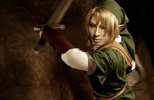 Link/The Legend of ZELDA