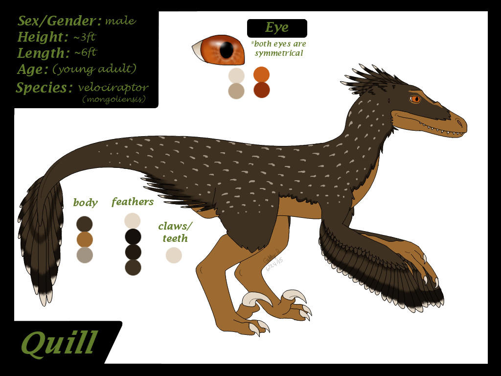 Quill Raptor Quill reference by gabbycat17 on DeviantArt