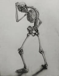 Skeleton