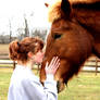 The Horse Kiss