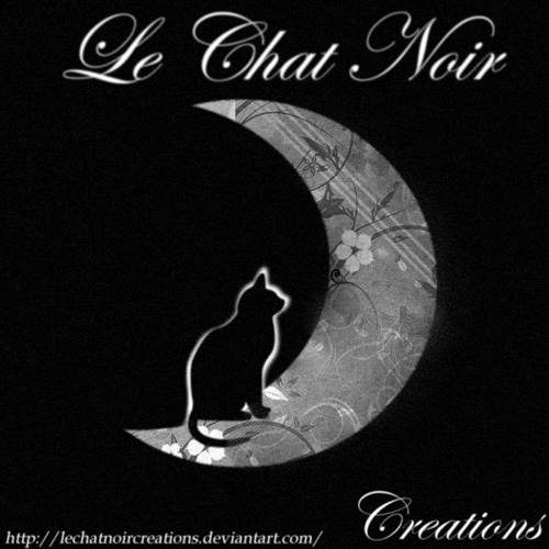 LeChatNoir