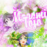 Cover Scrapbook: Nozomi Tojo