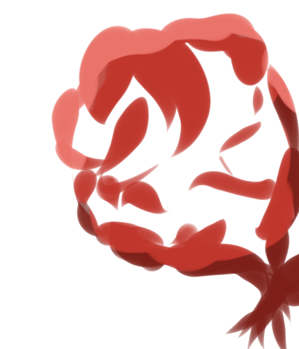 Boring Rose