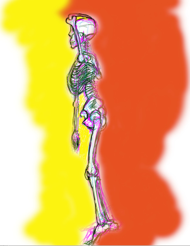 y+o skeleton