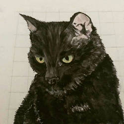 Cat watercolour.