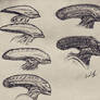 Xenomorph evolution 