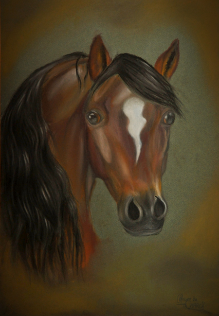 update.. brown horse