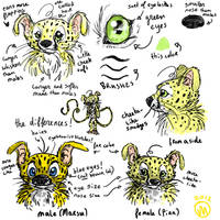 Marsupilami(e) sheet 1