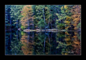 autumn waterscape IV