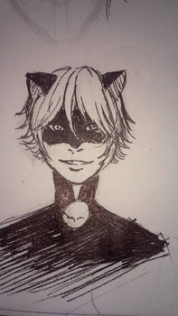 Chat Noir doodle