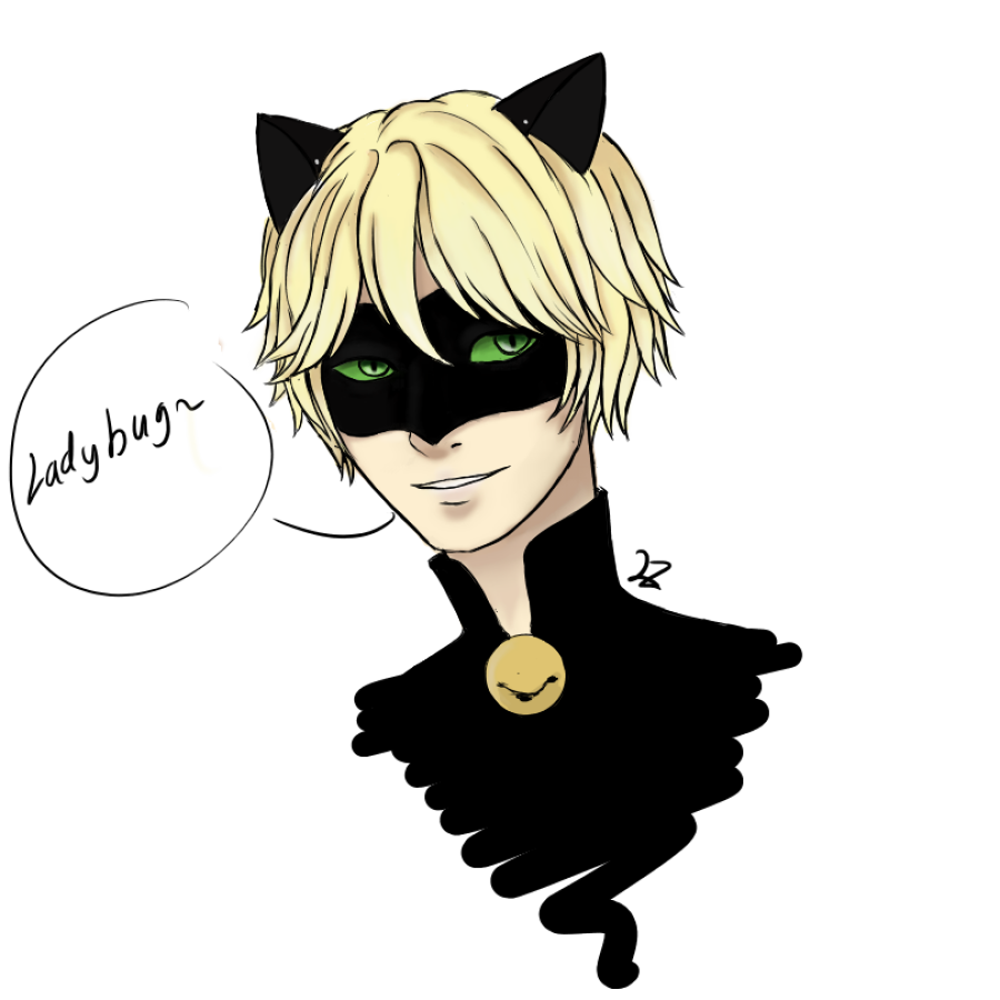 Chat Noir