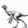 Dinovember Day #13 Oviraptor philoceratops