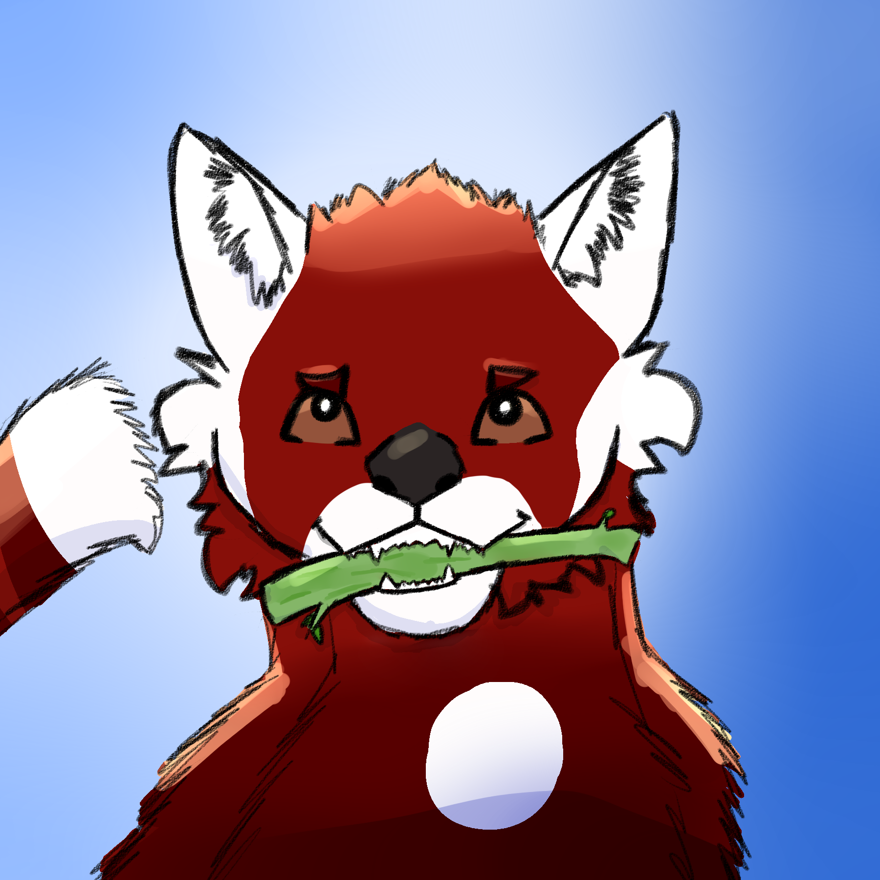 Red Panda Deviantart
