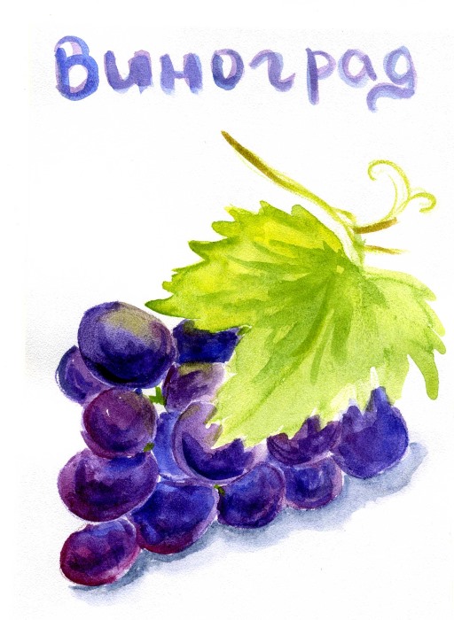 29th August - Grapes (Russian Alphabet V-Vinograd)