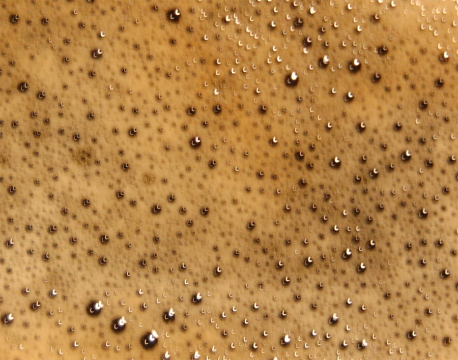 Caffee Texture Coffee texture 1 by re-stock on DeviantArt