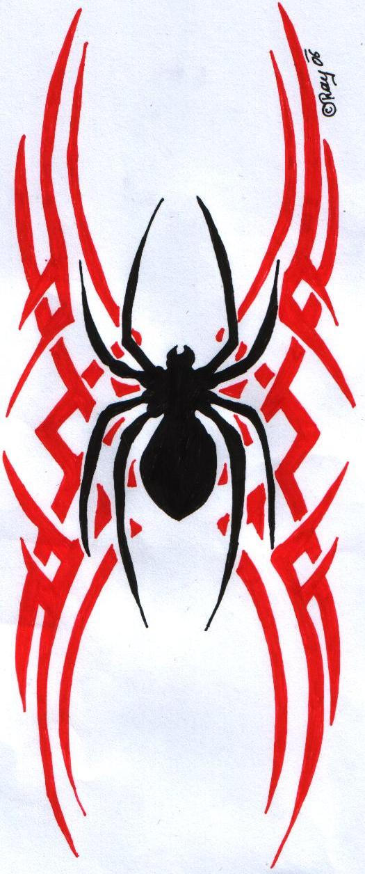 Spider by Ray100 on DeviantArt