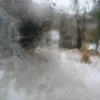 ice stock 3