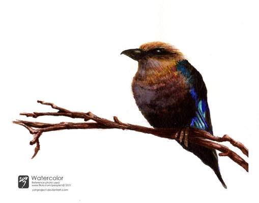 Watercolor Bird I