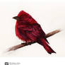 Watercolor Bird II