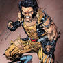 Wolverine by SpiderGuile colored