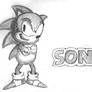 Sonic the hedgehog