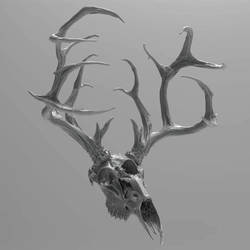 Antlers