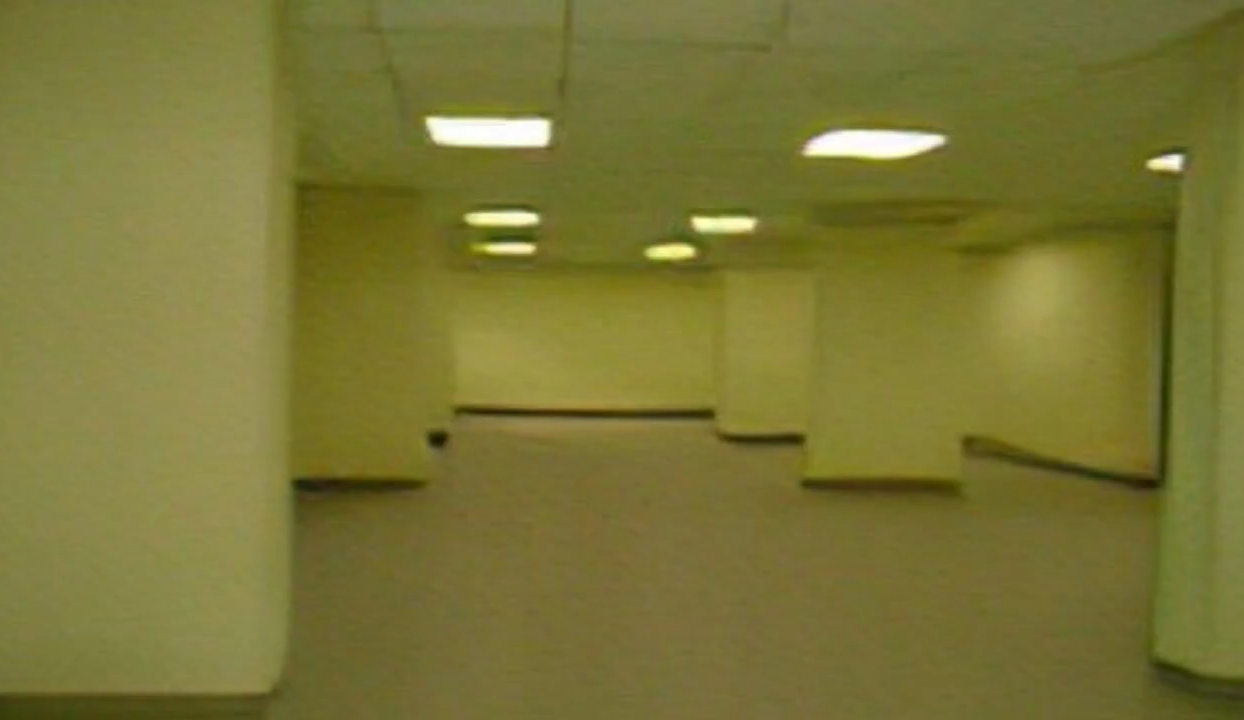 Backrooms level 0