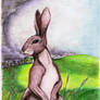 Watership Down coloured