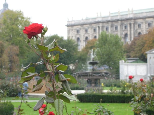 Hofburg Gardens