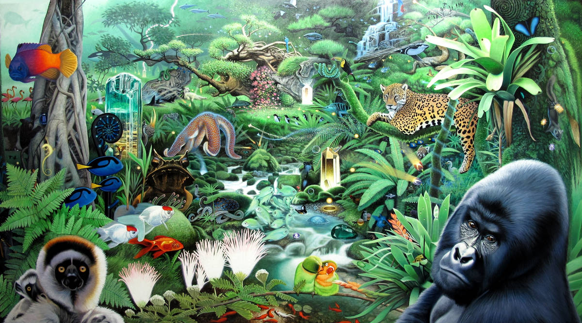 Тропические животные 1 класс. Джунгли Джангл. Обитатели джунглей. Тропический лес животные. Обитатели джунглей для детей.