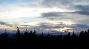 A View from Mt. Hood