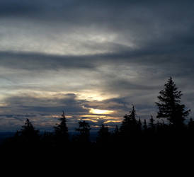 A View from Mt. Hood II