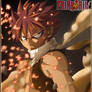 Natsu ' Fairy Tail '