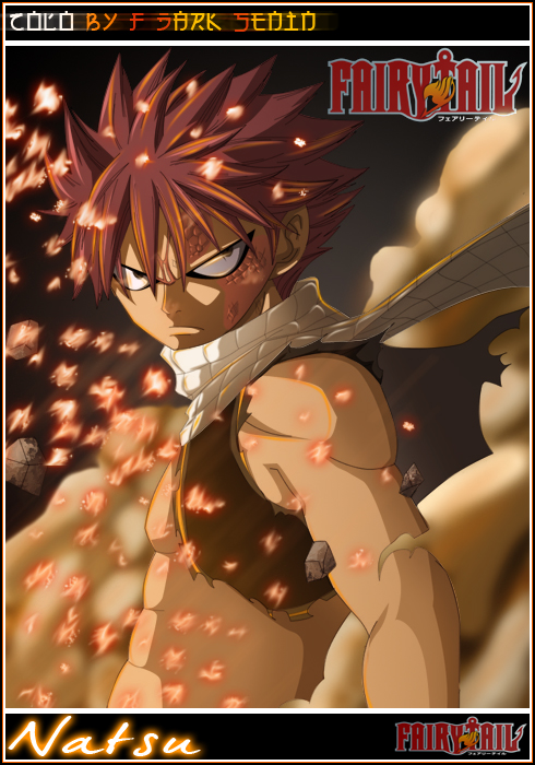 Natsu ' Fairy Tail '